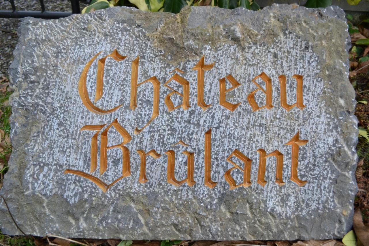 Chateau Brulant 索姆勒兹 外观 照片